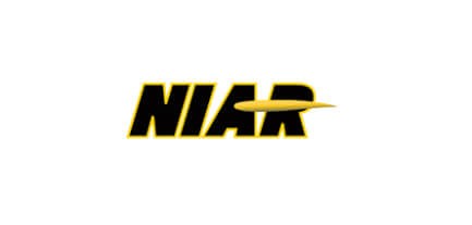 NAIR Logo